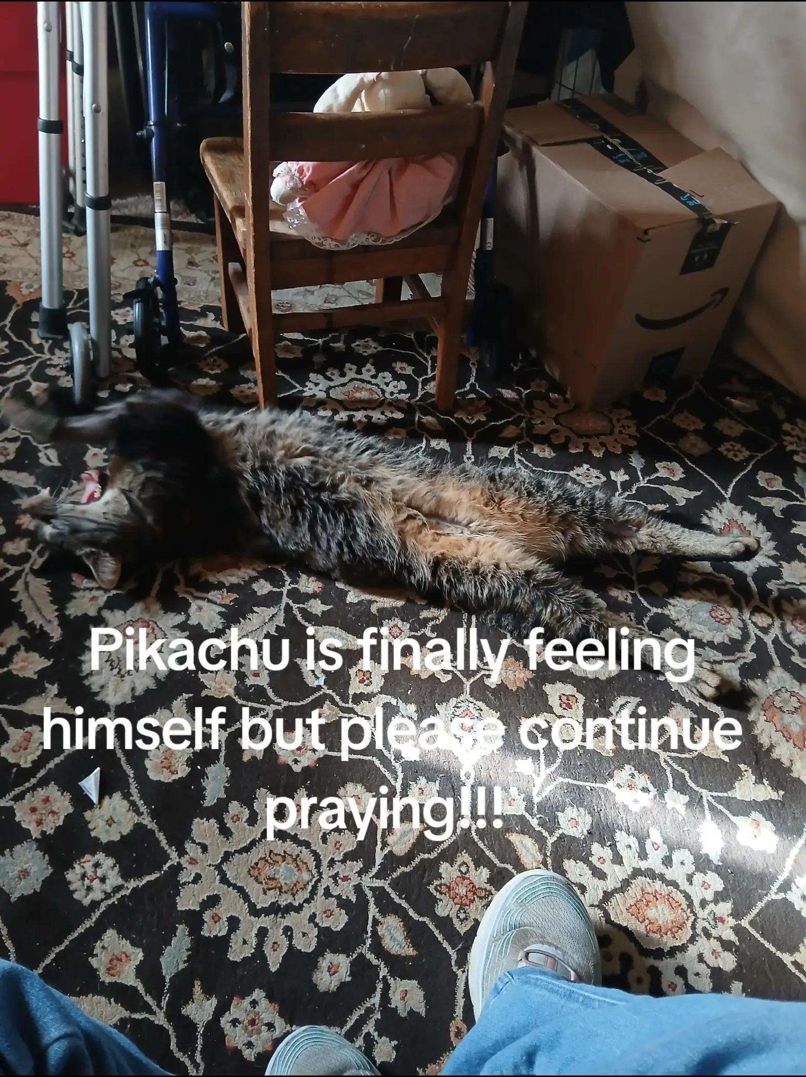 @CLasher✝️
