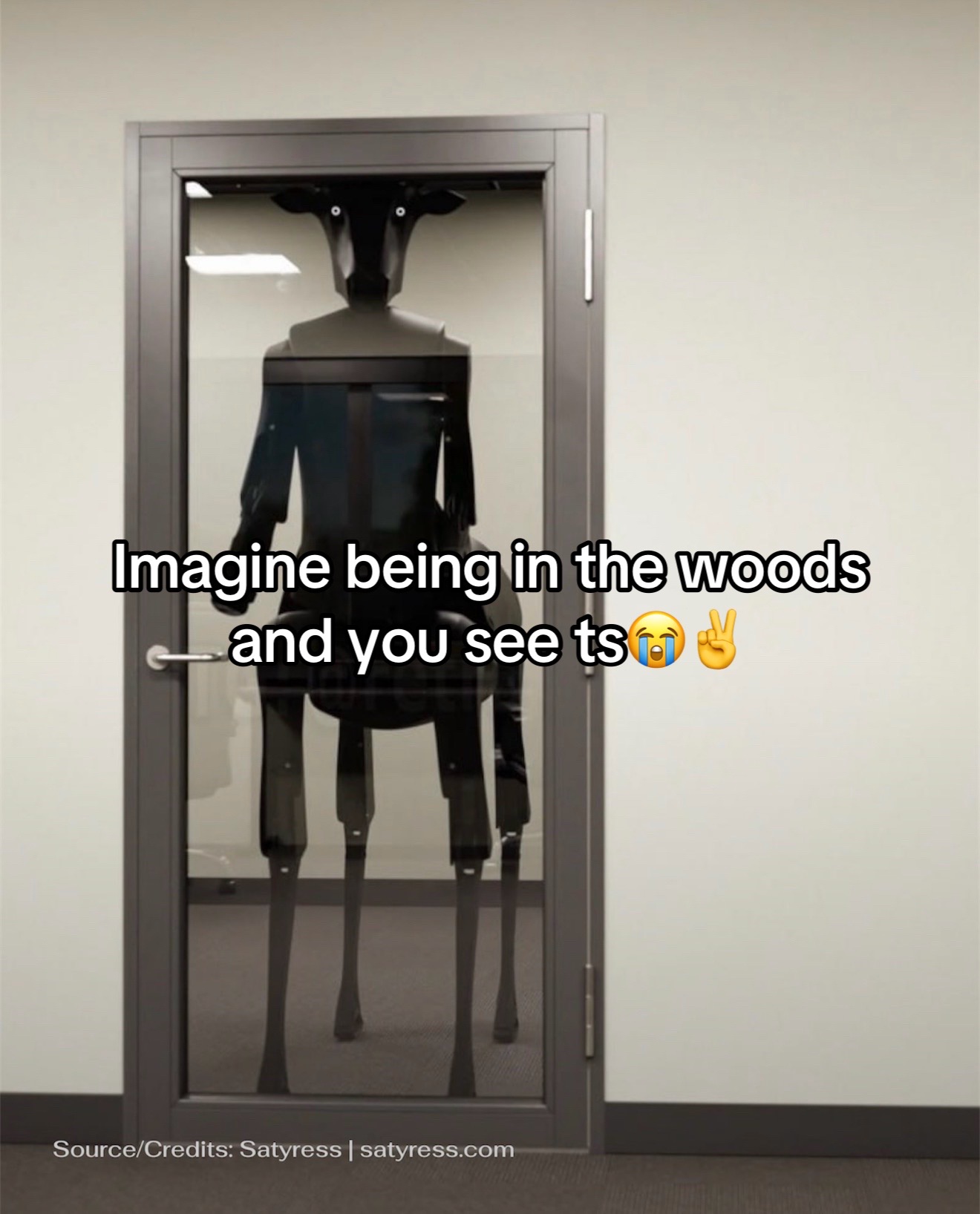 @MIBO