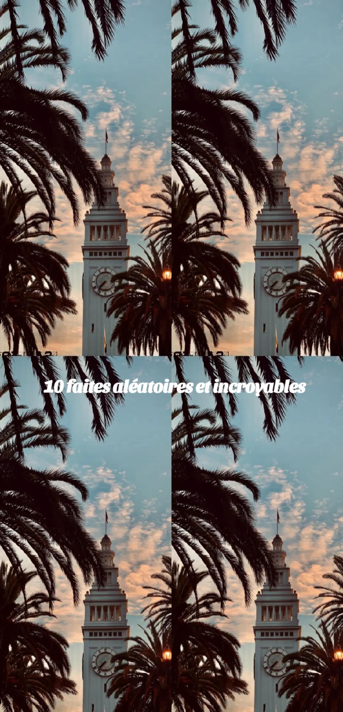 @𝒰𝓃 𝒻𝒶𝓃 𝒹𝑒 𝒟𝒶𝓂𝓈𝑜