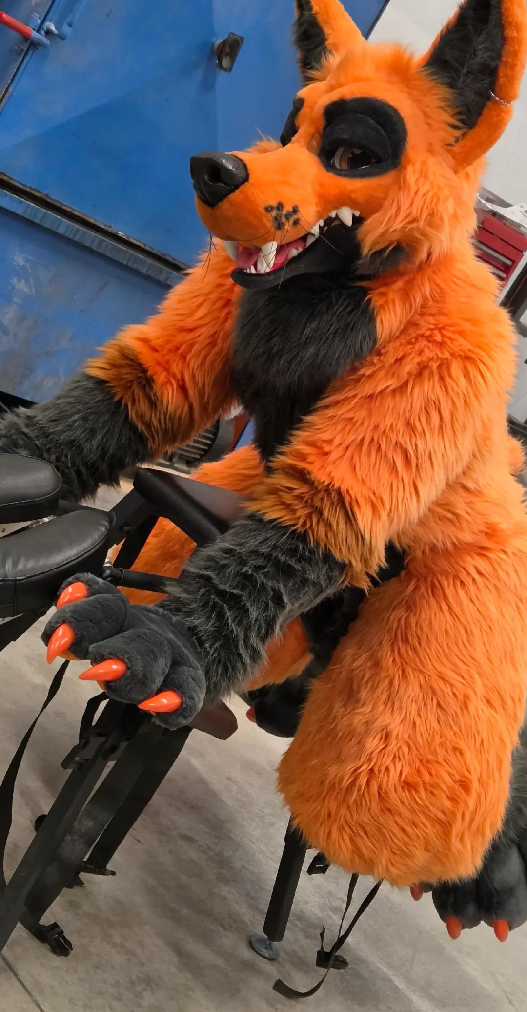@Grease Wolf