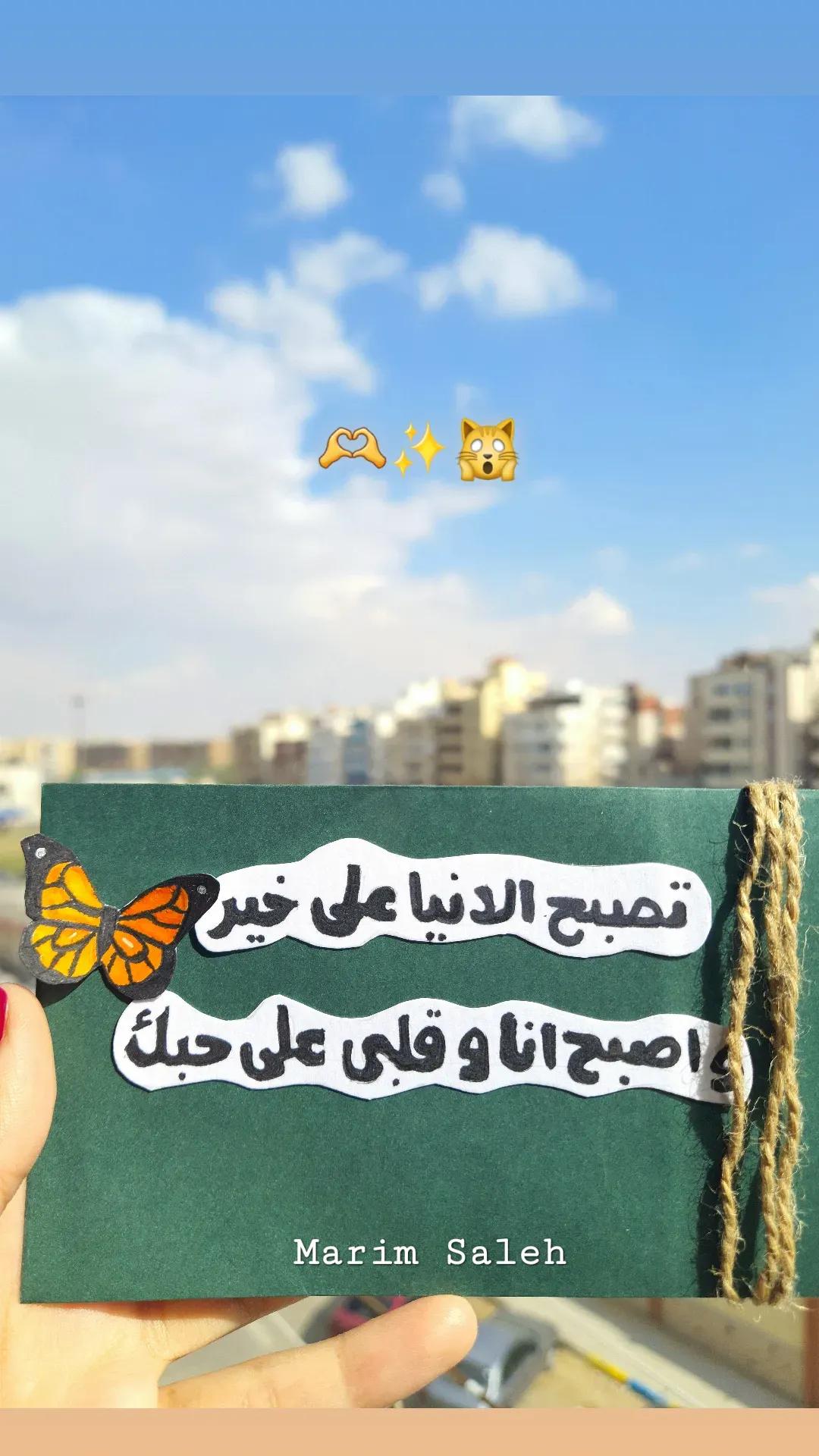 @Marim Saleh971