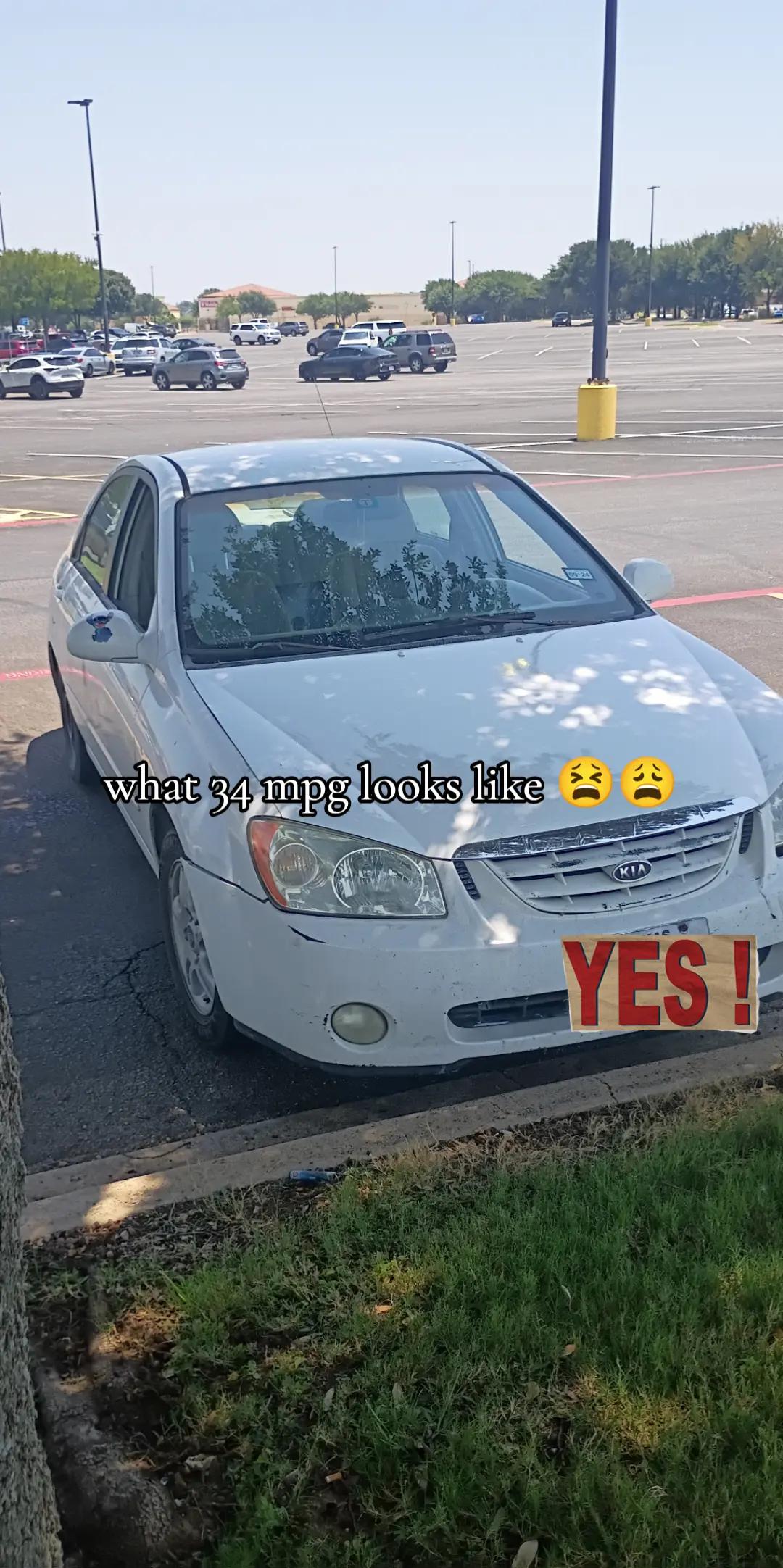 @David your local dummy