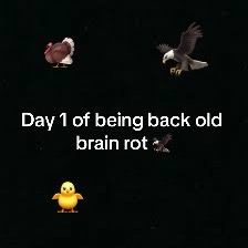 @Sahn.2REAL