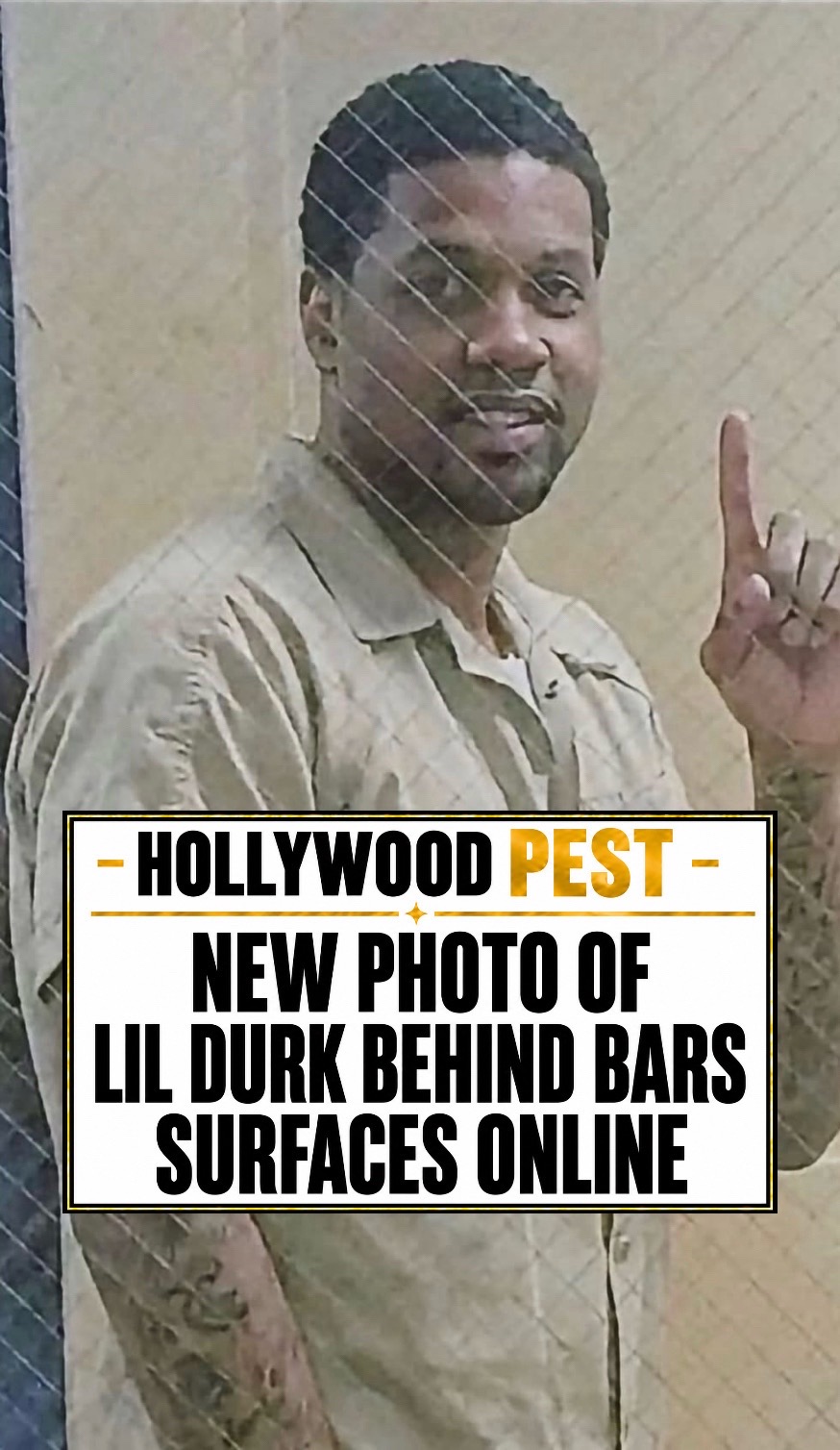 @Hollywoodpest Press