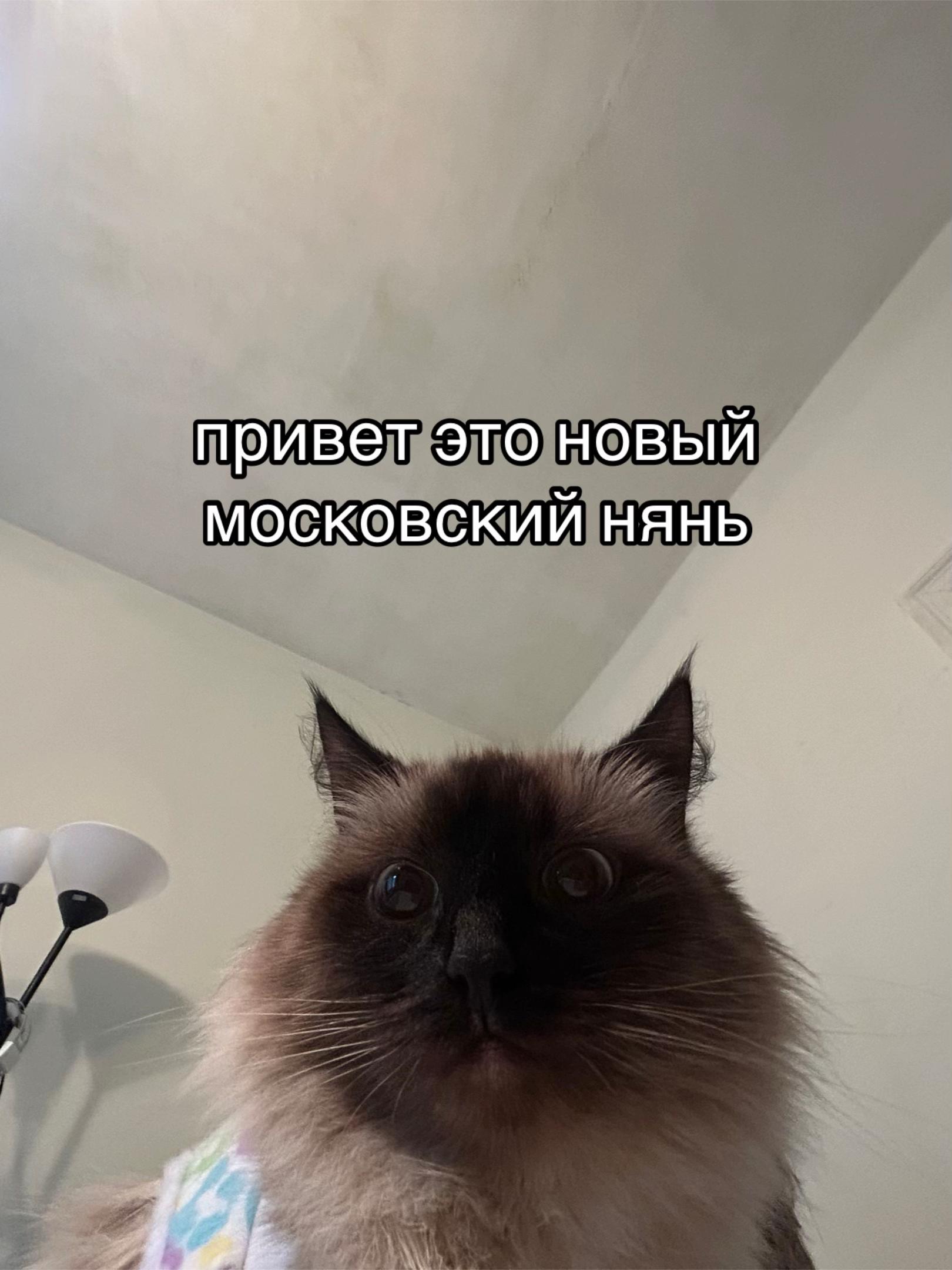 @ssqwty_