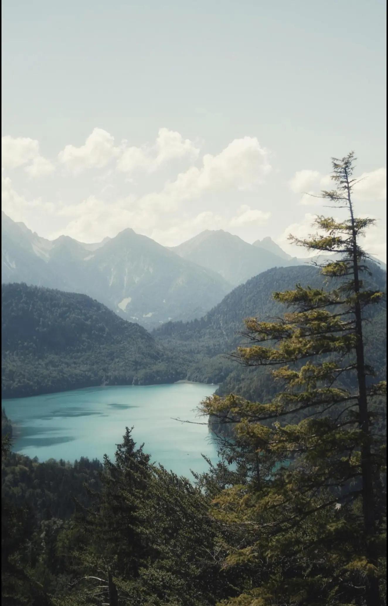 @KARIMNATUR
