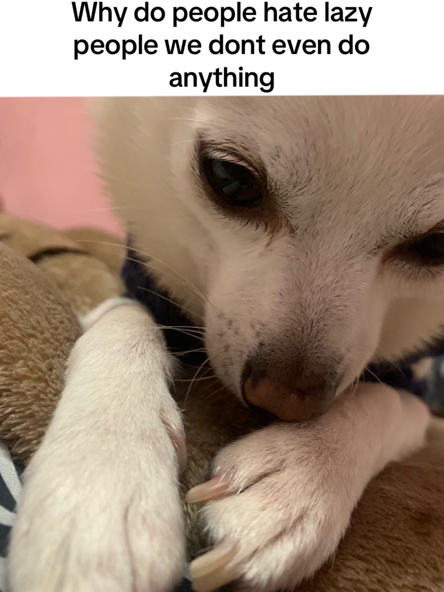 @☆౨ৎ⋆𝚓𝙰𝚉𝙼𝙸𝙽𝙴࣭⭑ֶָ֢❀☆ﾟ