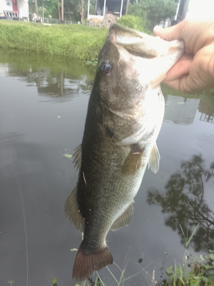 @hunting fishing boy