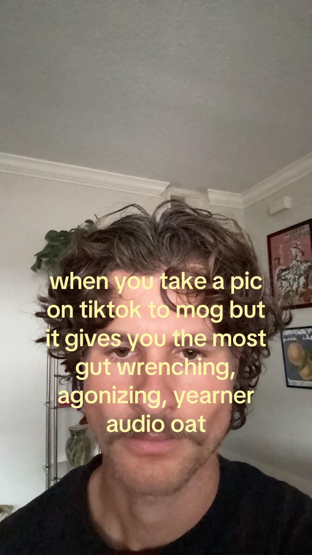 @shane