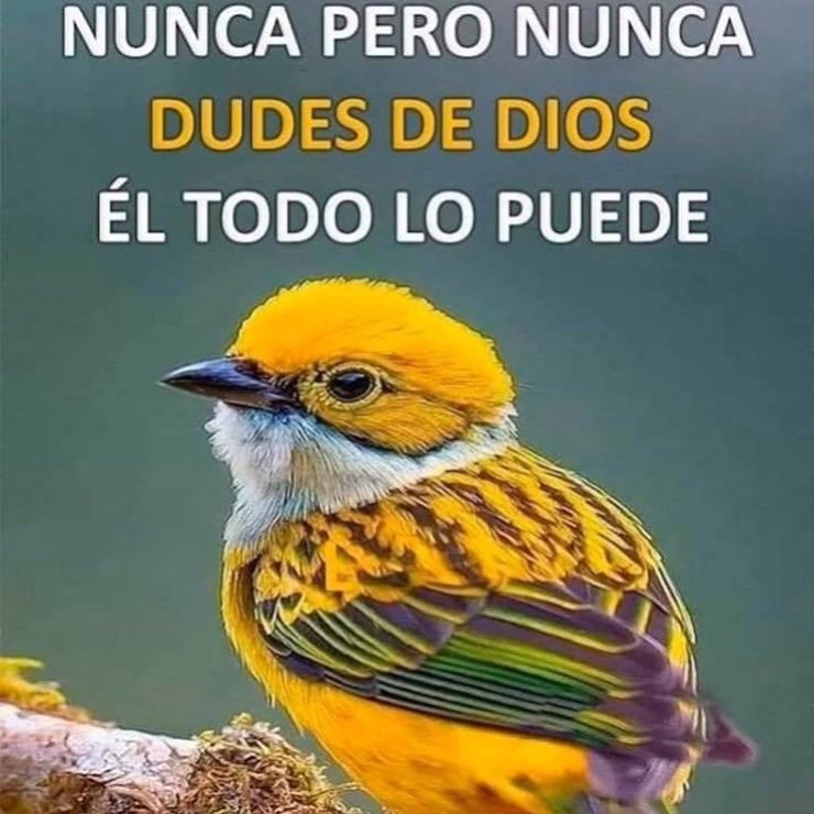 @Leti Sierva de Dios