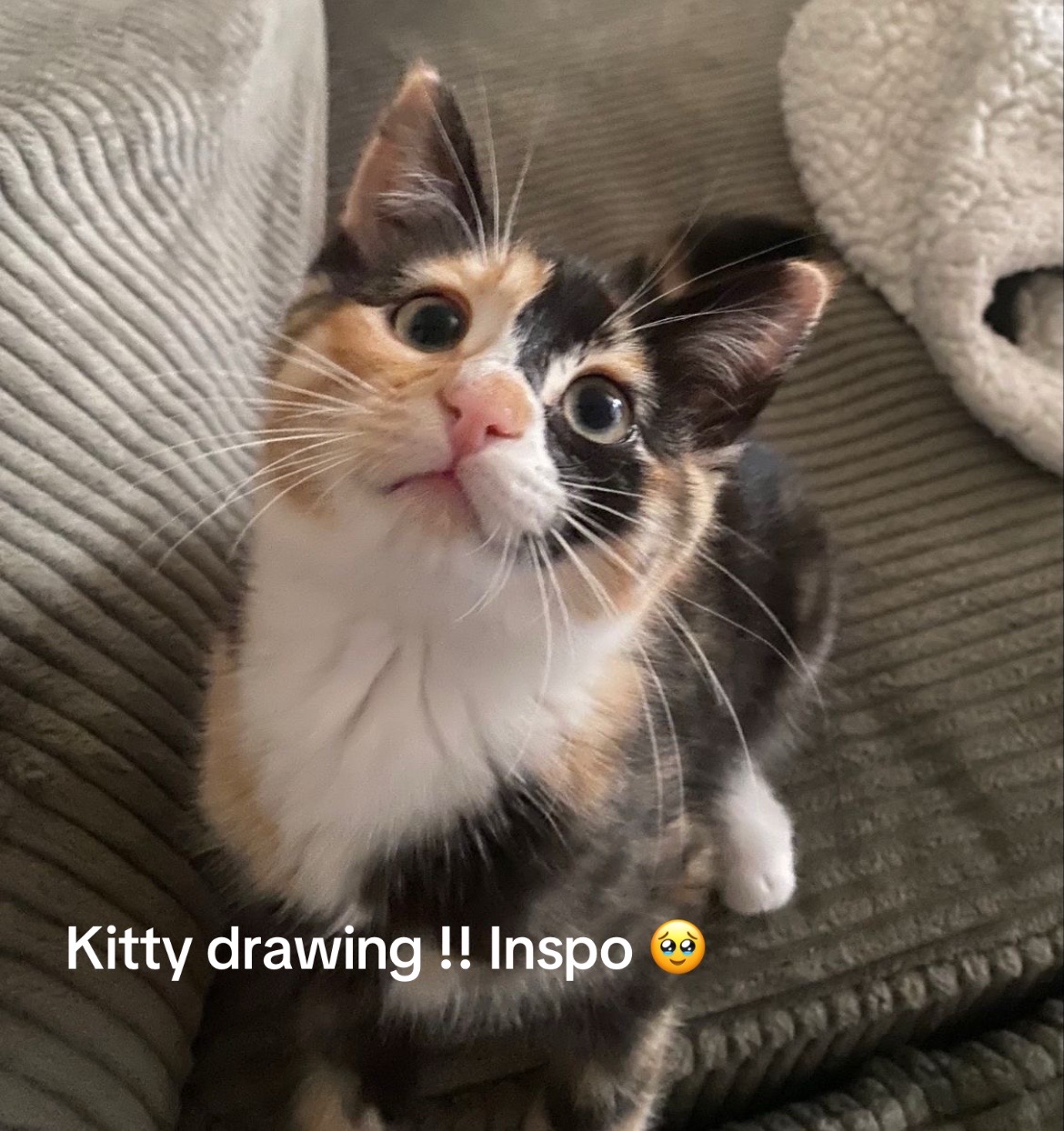 @Gigi 🌬️