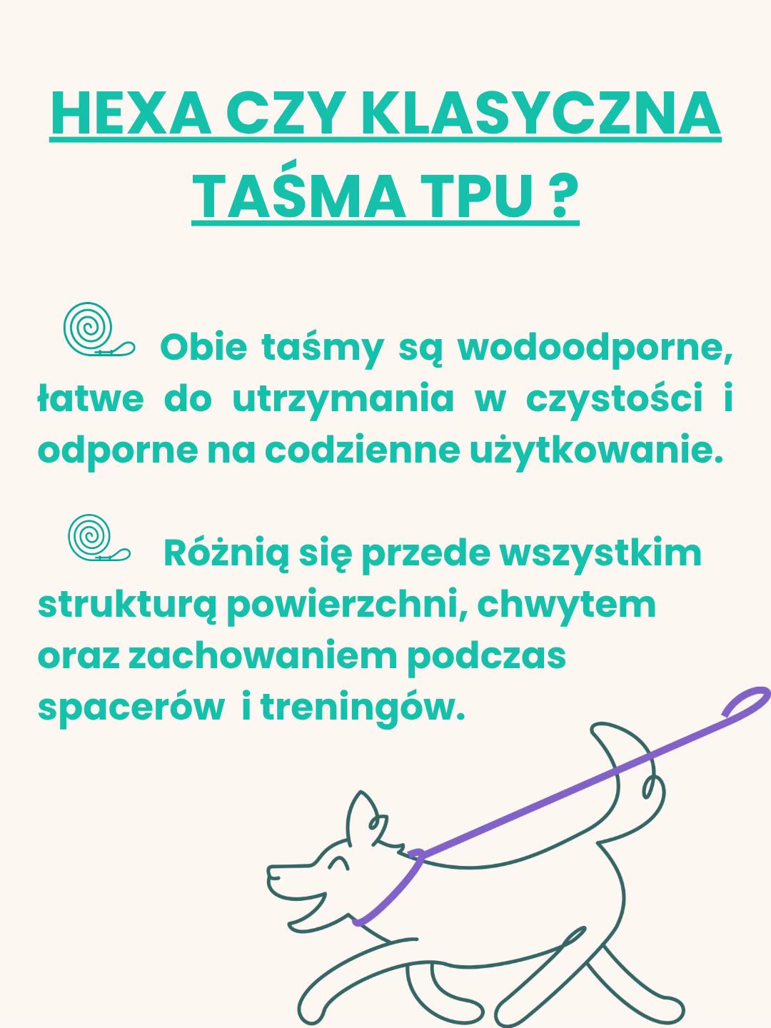@hauka.dog
