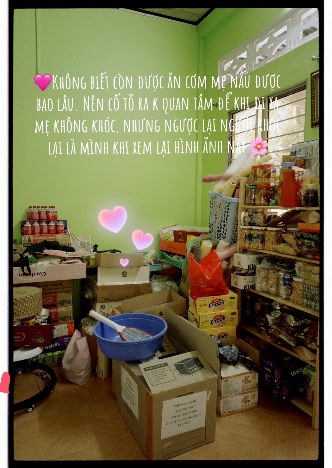 @🎀 ♡ Bơ Family ♡🥑