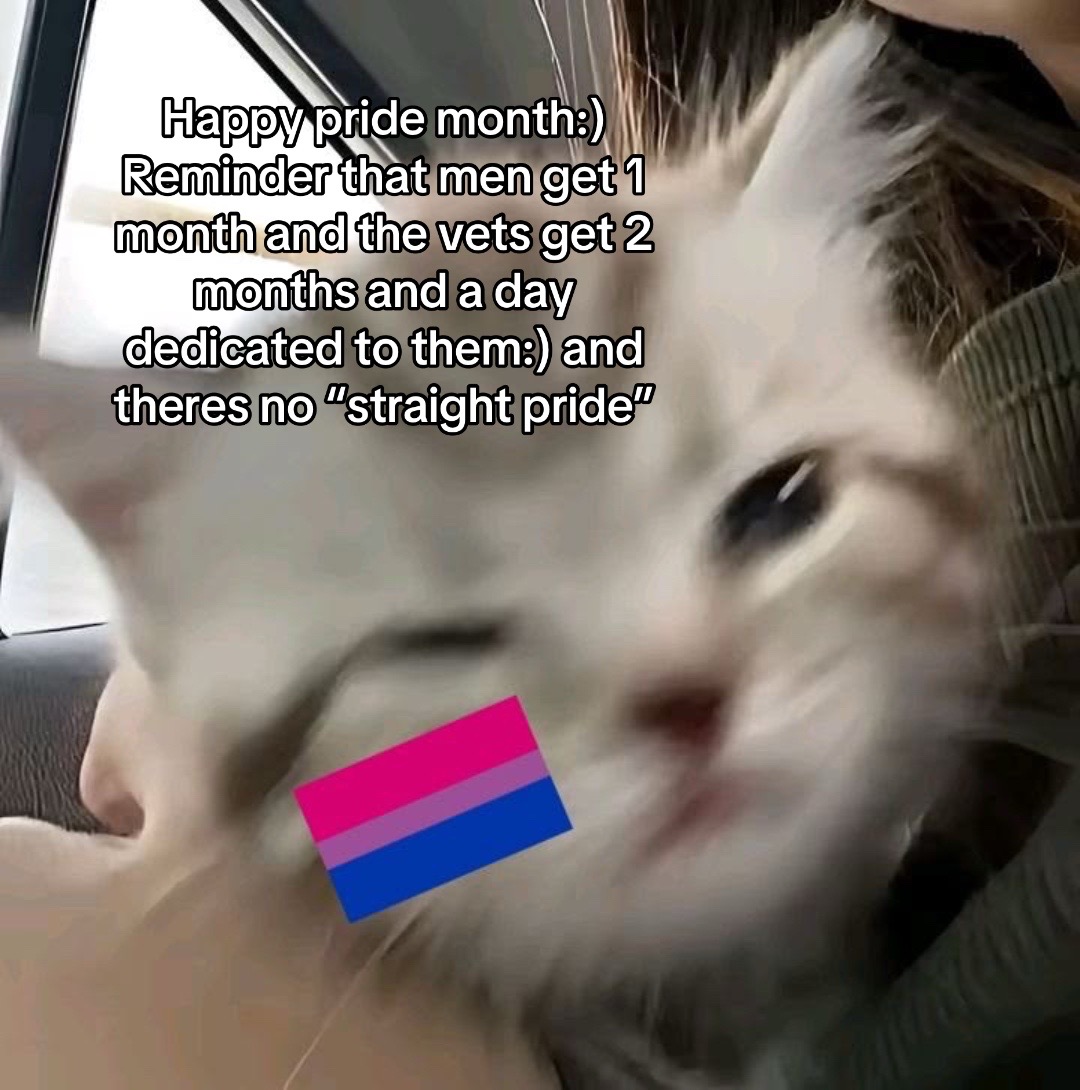 @✧.* 𝓢𝓴𝔂𝓮 ⋆.ೃ࿔*:･ 🫪