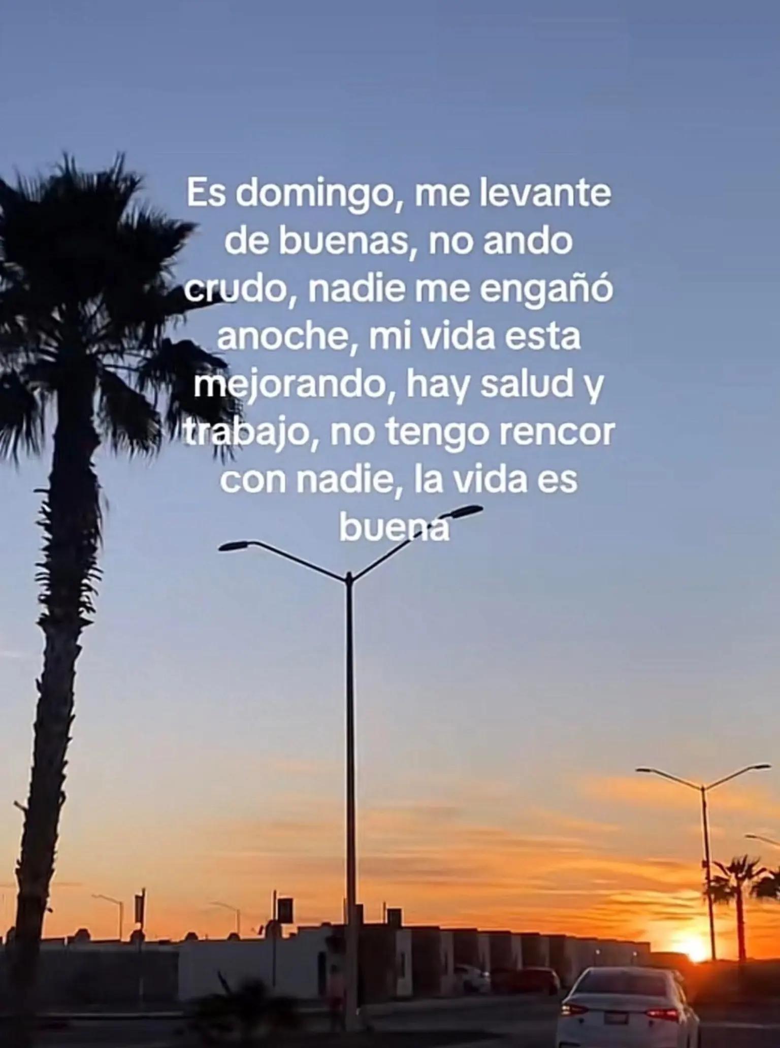 @Sylvia⚘️