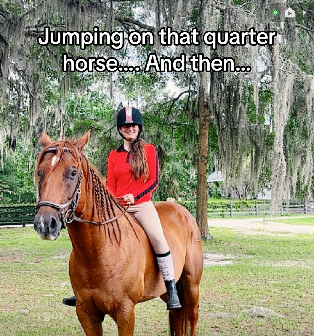 @itiswellstables