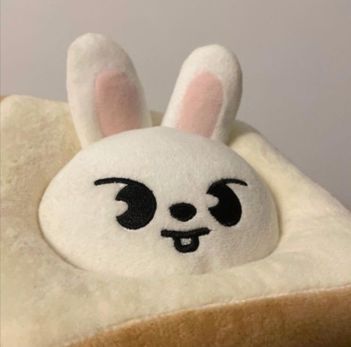 @leeknow리노☀️