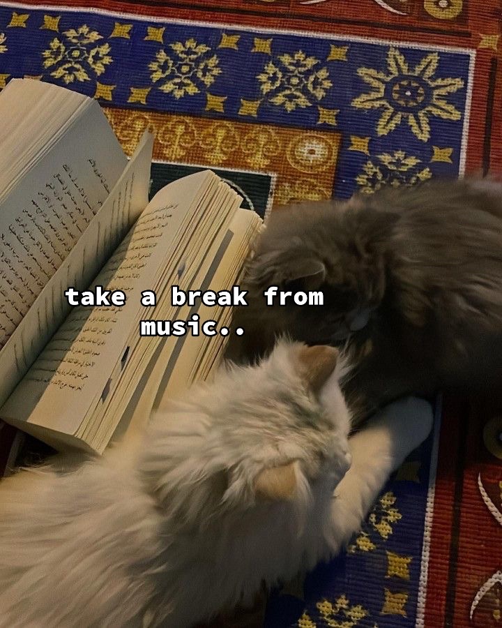 @﷽