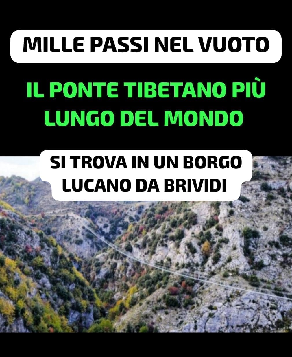 @Liliana Cavaliere