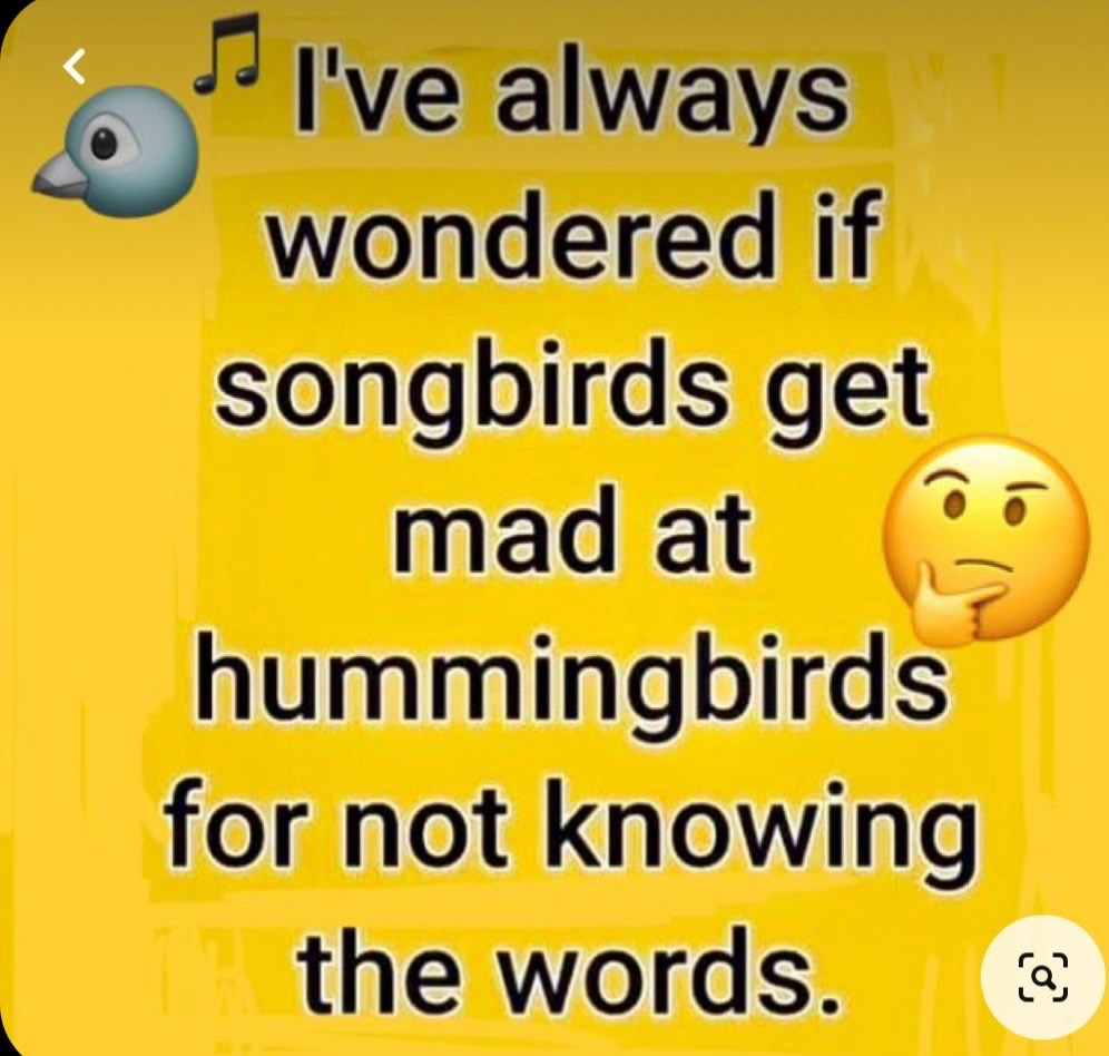 @♉️ 🅓🅐🅣🅗🅘🅔 ♉️