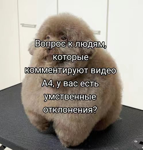 @тëлка дрейн