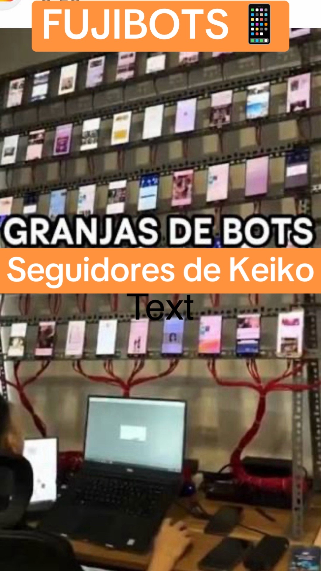 @PEXSemillasdeLibertad