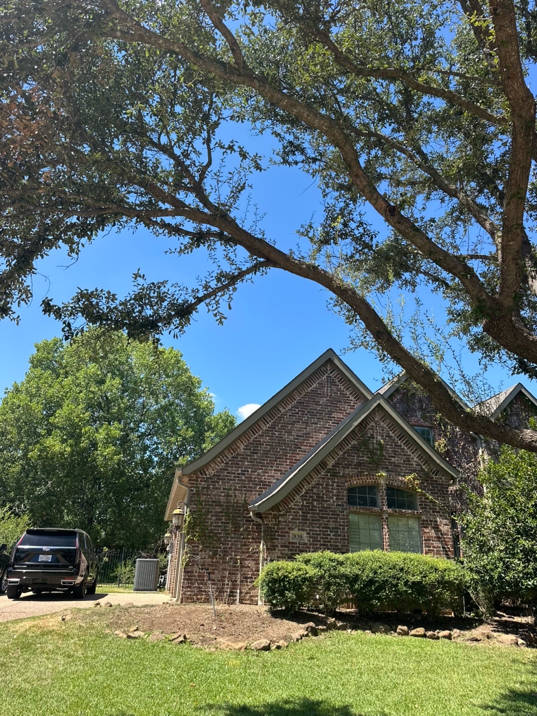 @Live Oak Tree Service