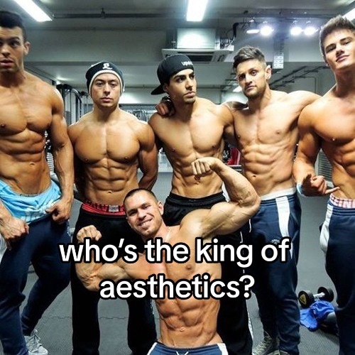 @elv_aesthetics