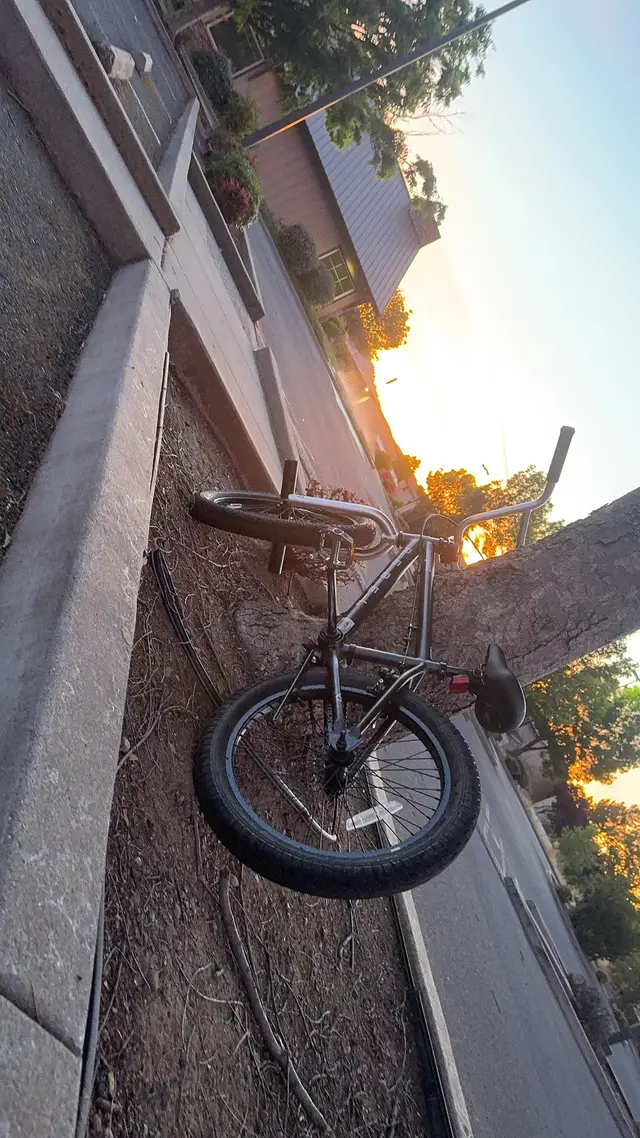 @BMX_SJ#5