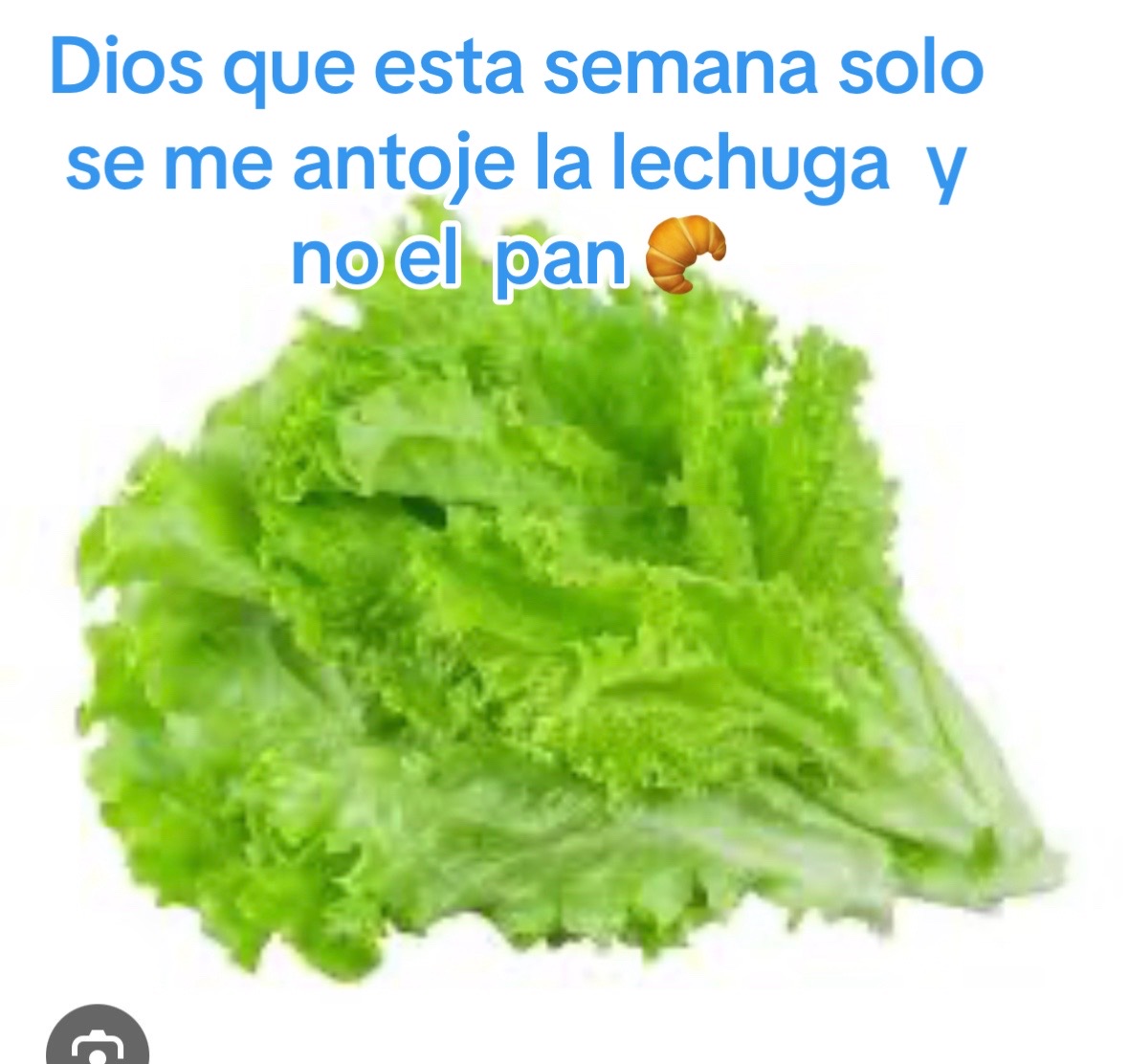 @Alma Baez295