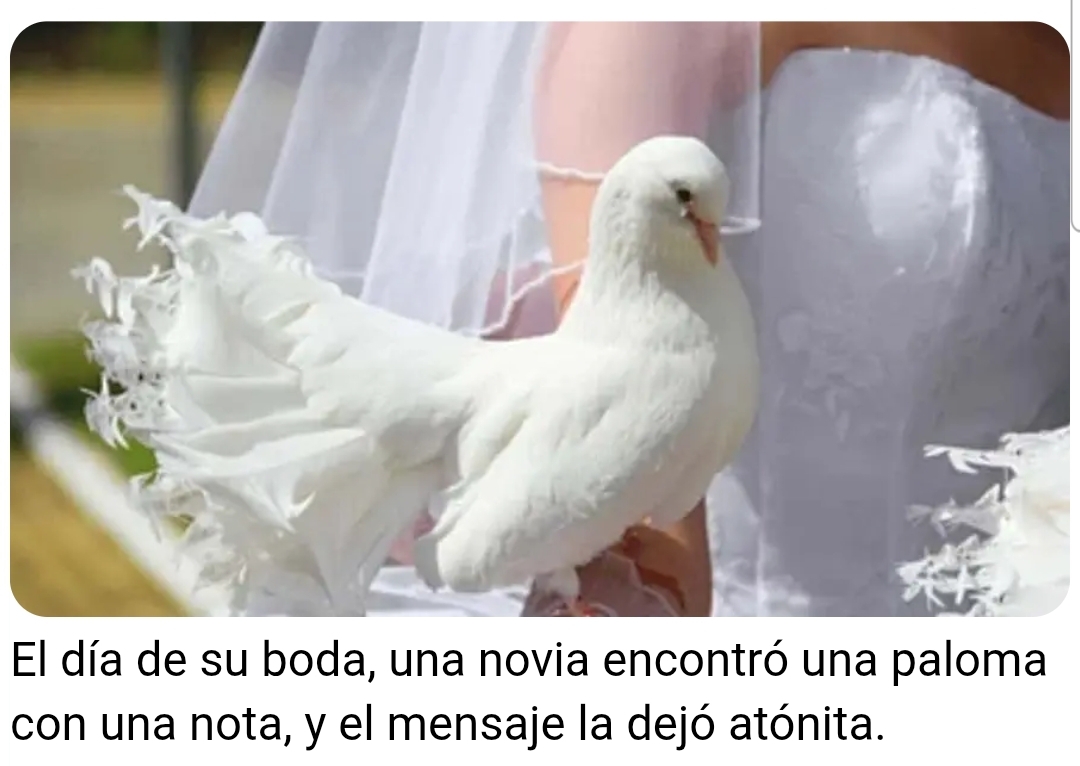 @DjBoryBudda