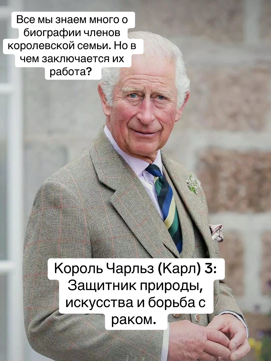 @Тгк: Тридевятое Царство 🤏🏻