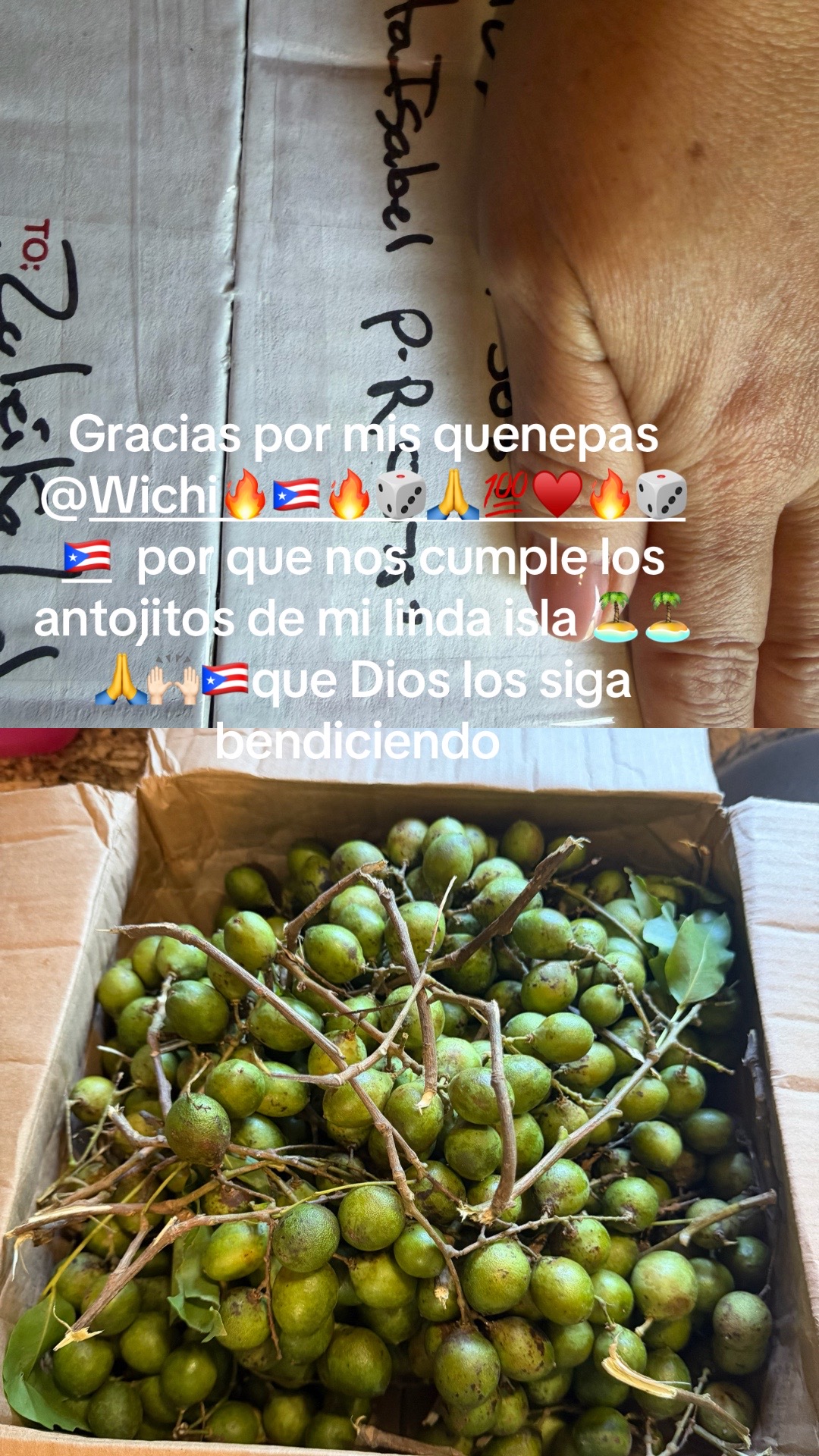 @Zuleika Santiago