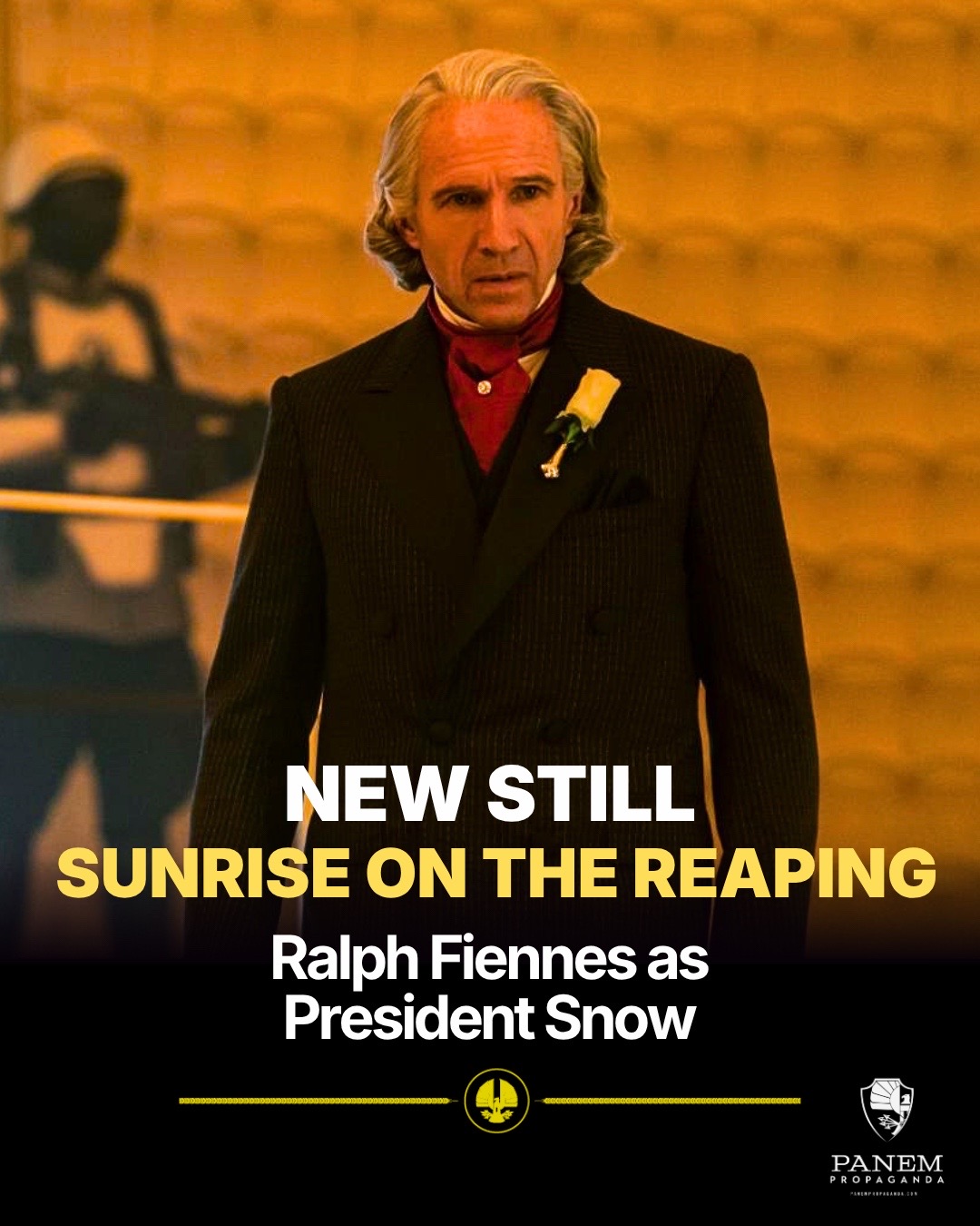 @Panem Propaganda