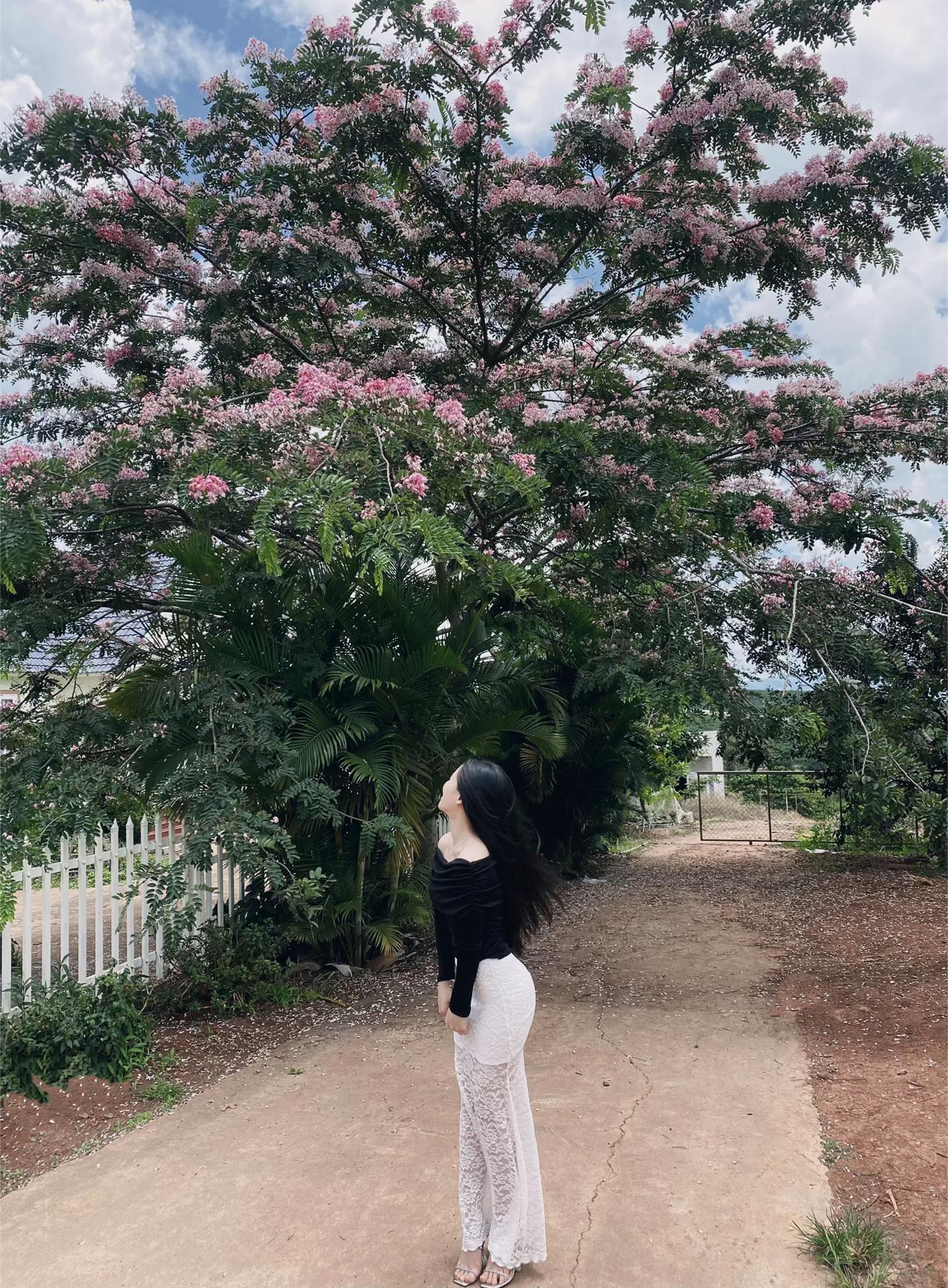 @Kim Anh