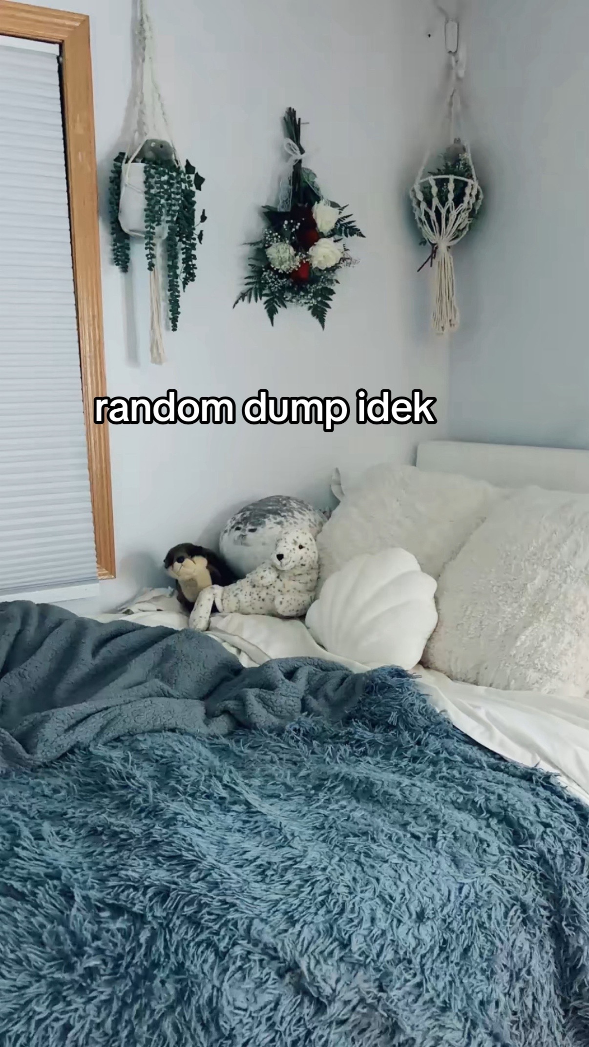 @lex 🦦
