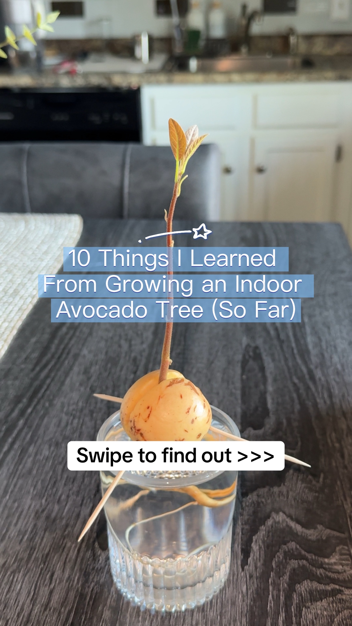 @Niki - Ava’s Mom 🥑🌱