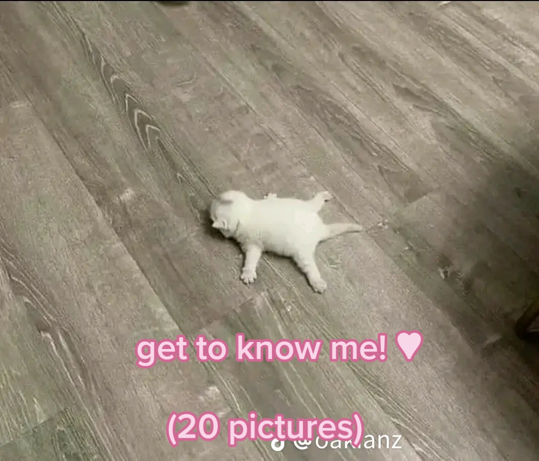 @MAYO_IS_BACK_