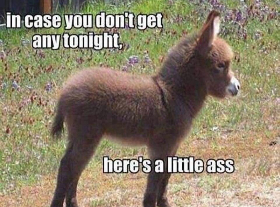 @Carol
