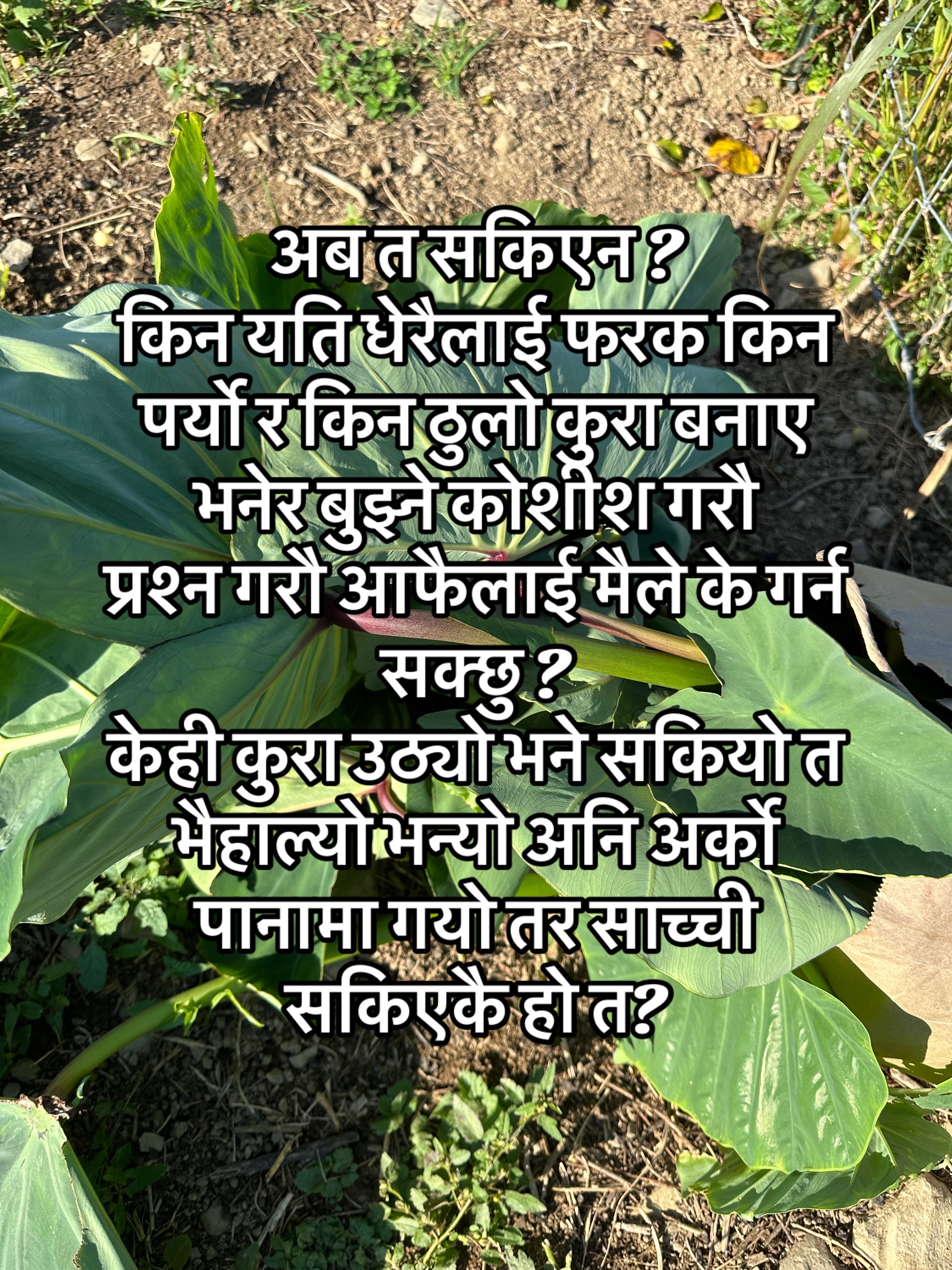 @आमा र जग्गुदिदी