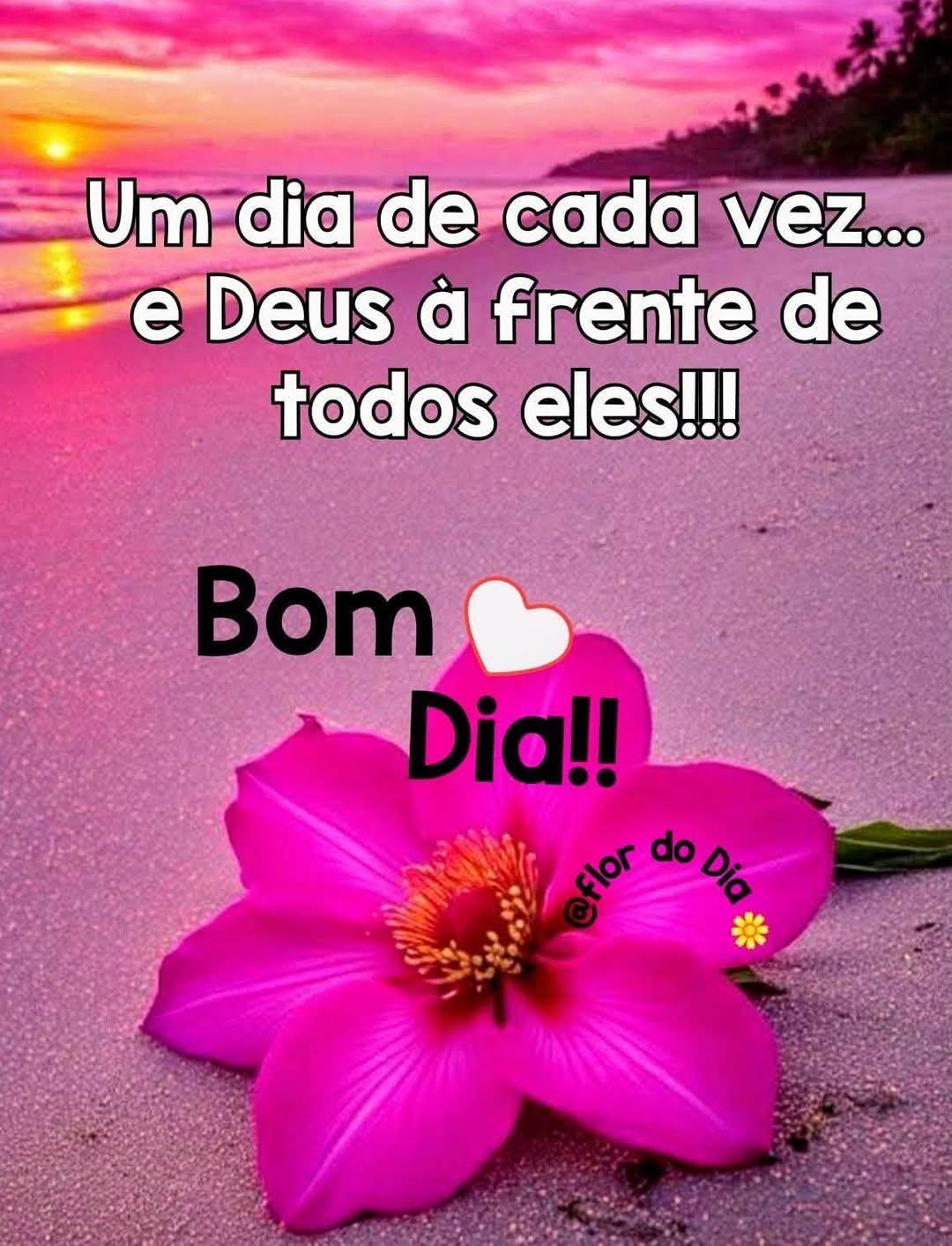 @Mara Nunes