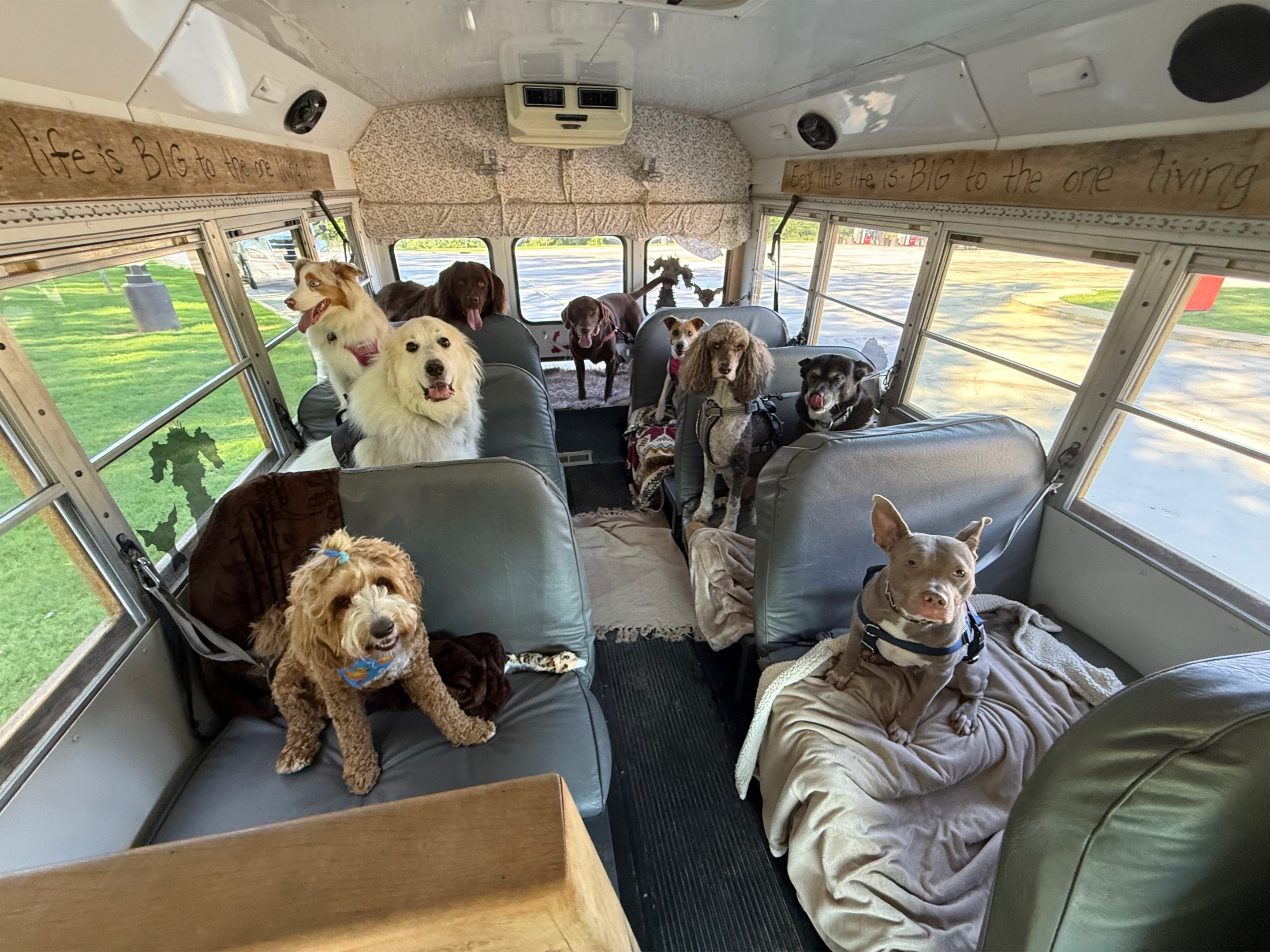 @The Storybook Bus