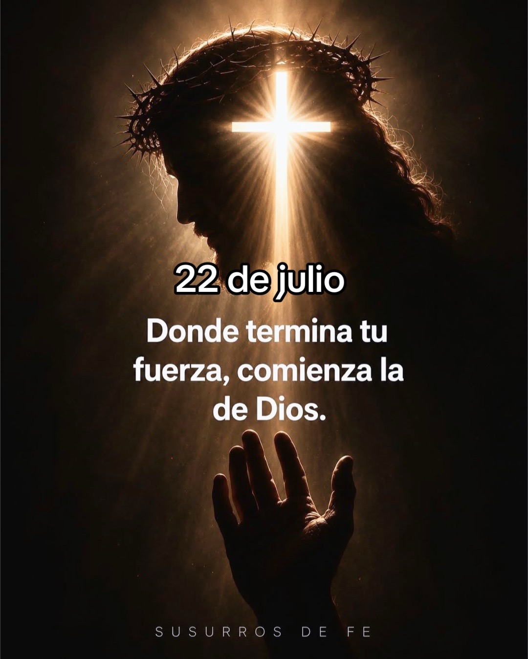 @8luisplaza8