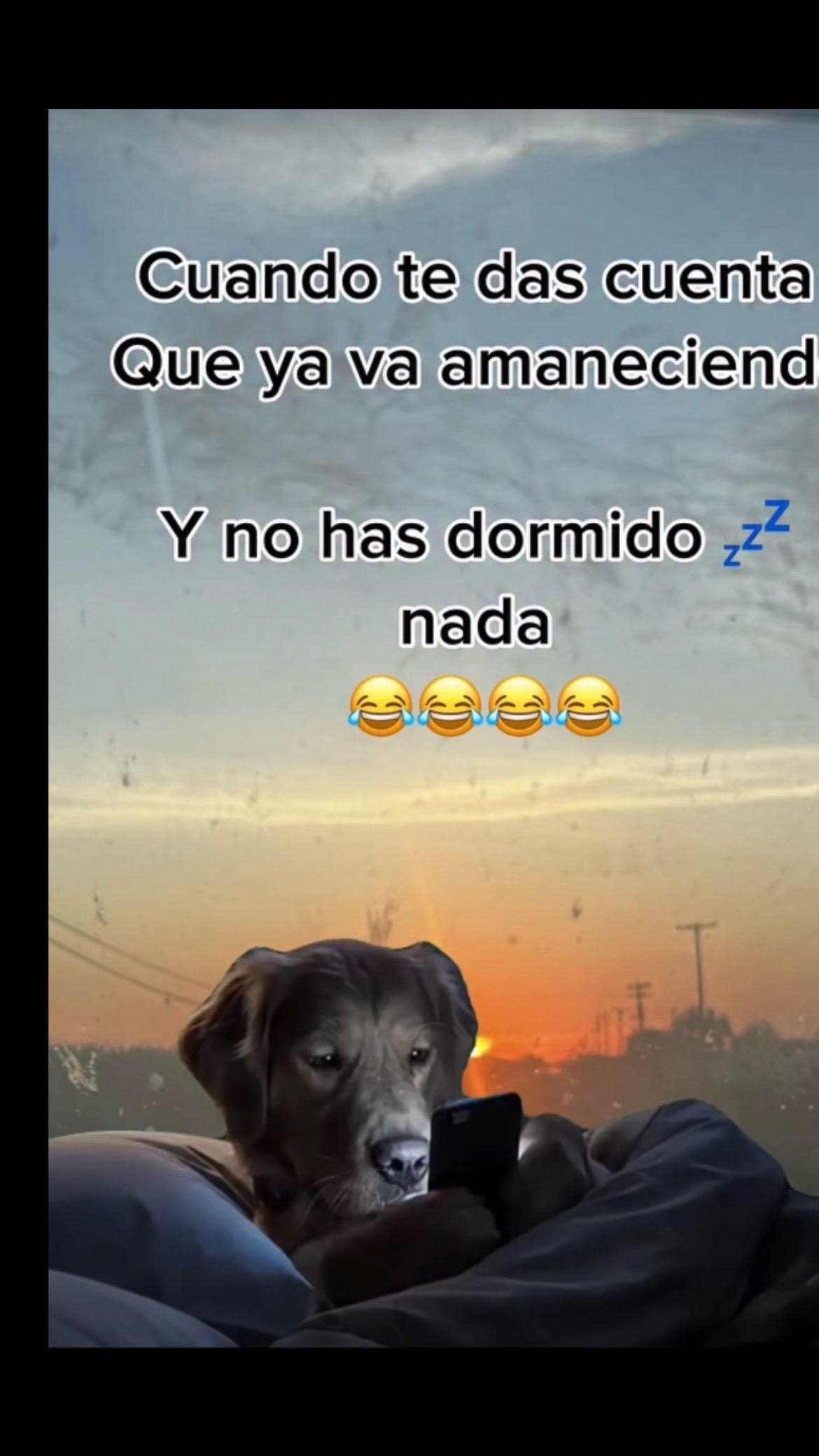 @Pedro Cruz