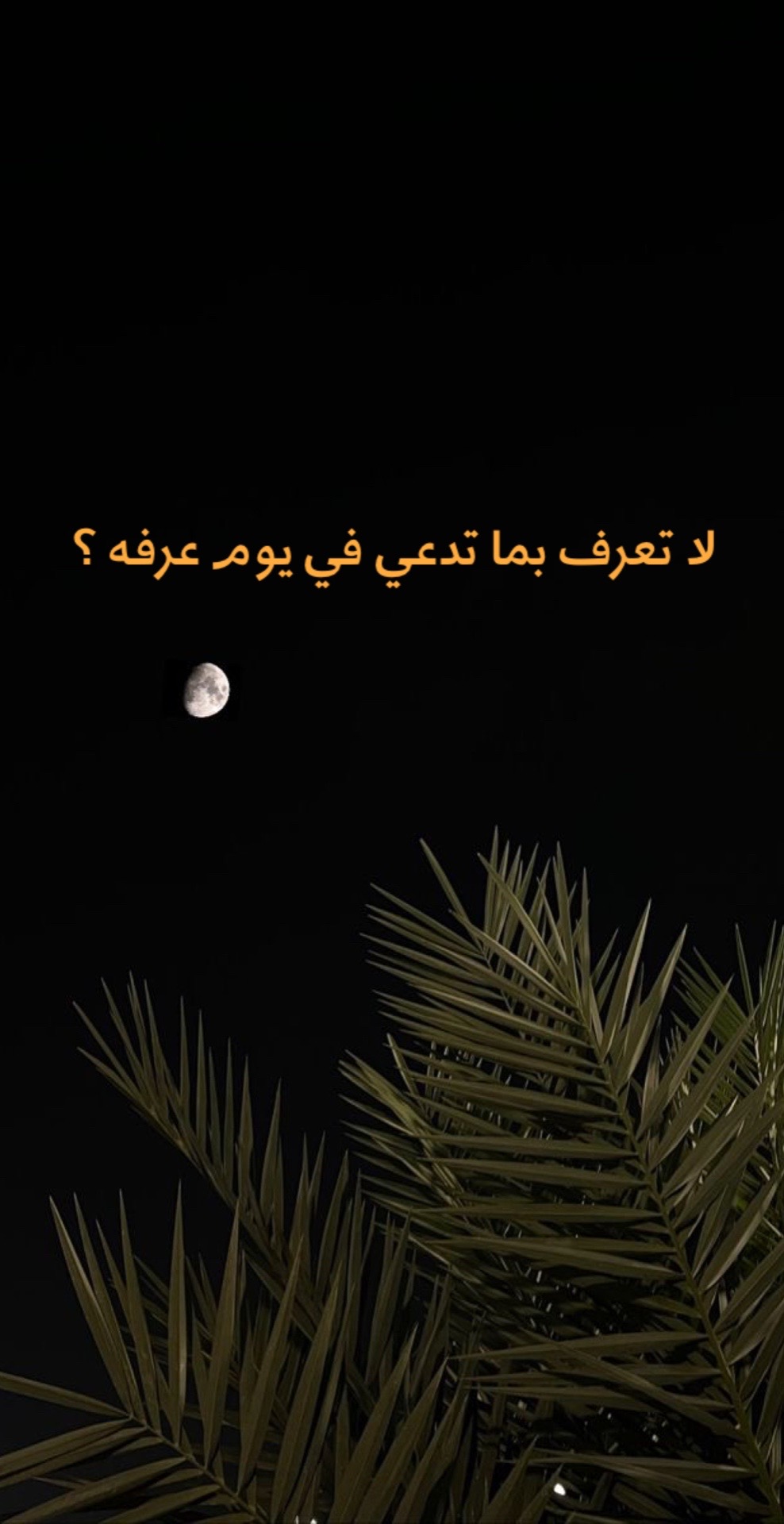@iisslaaam_