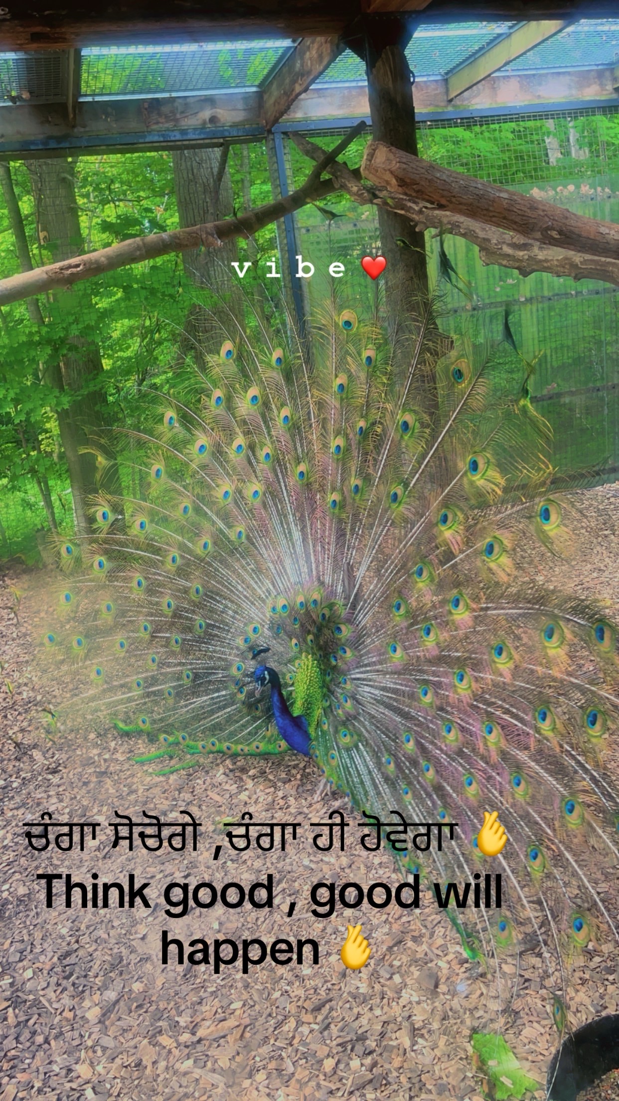@Sukhpal 😊