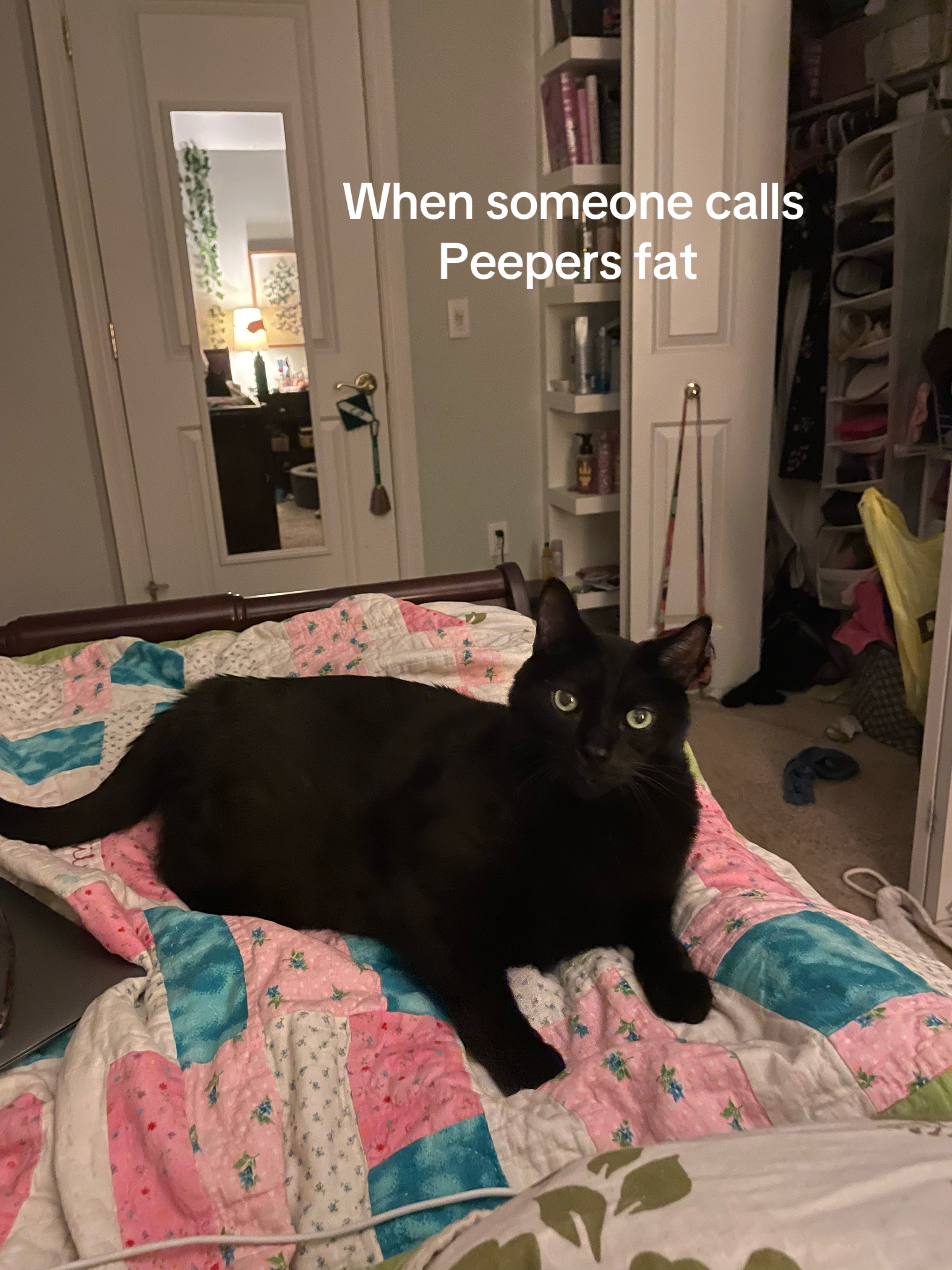 @lily