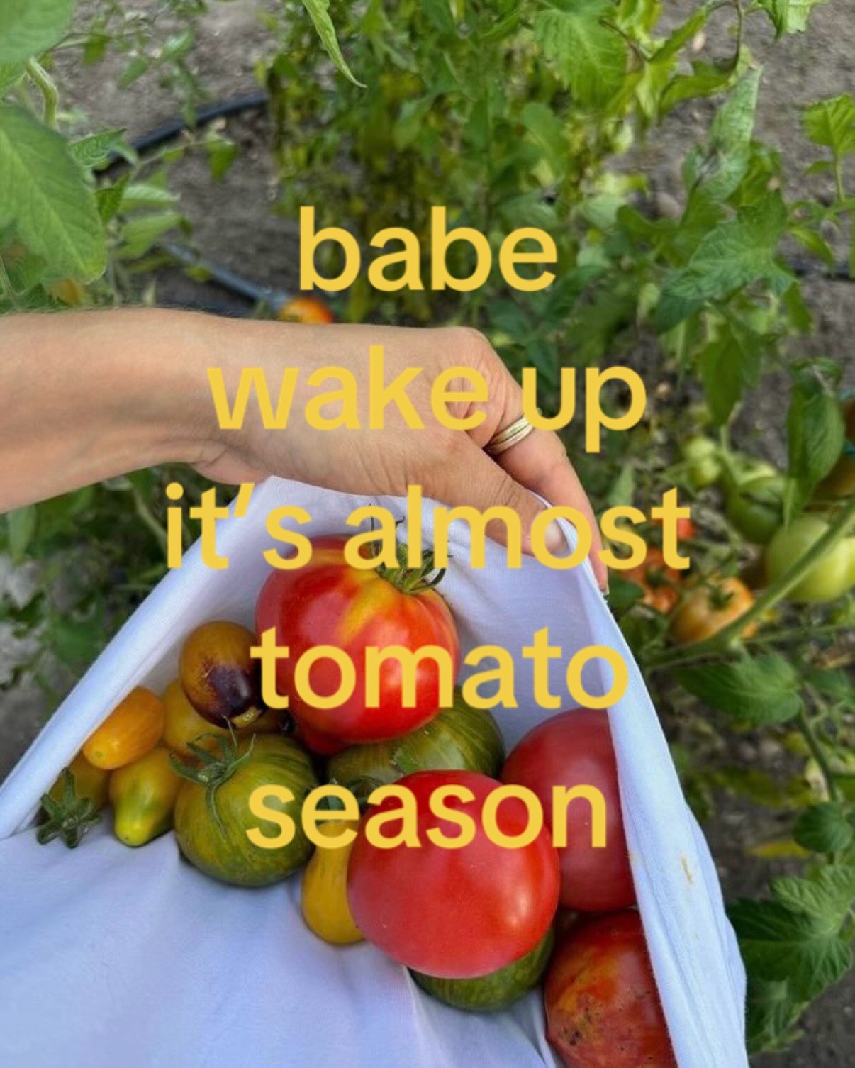 @wearebrightland