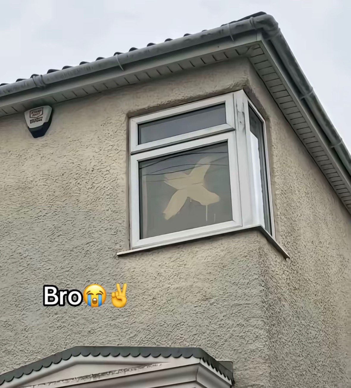 @Siegeclips