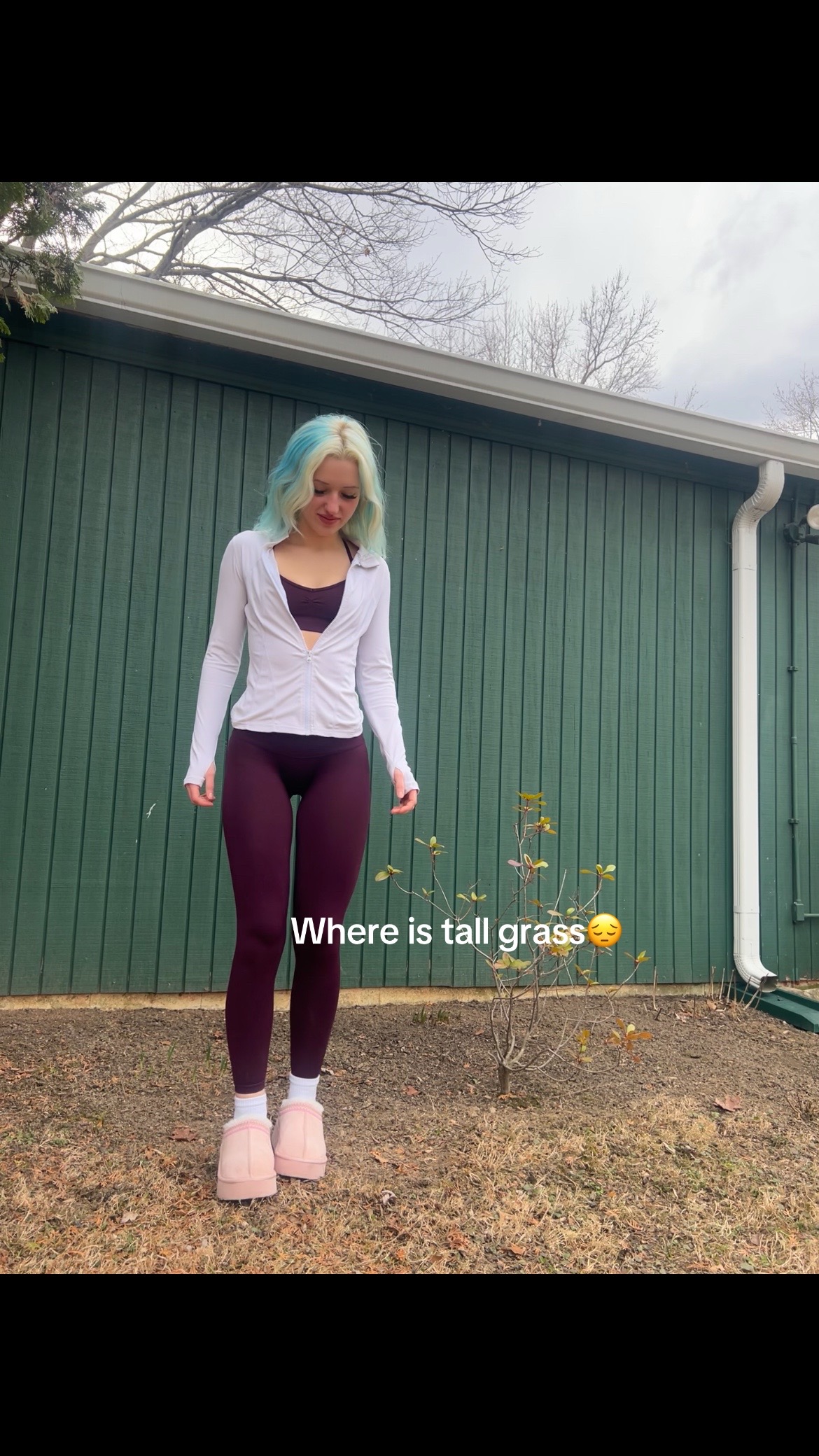 @fitmonlee
